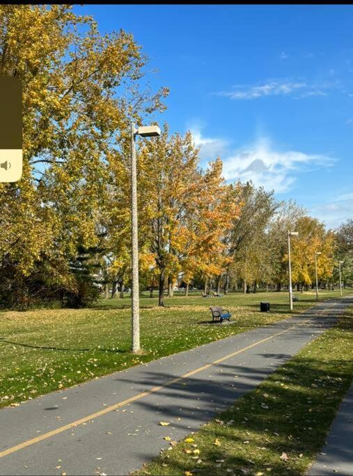 Cozy Spacious Work Friendly Lotus With Garden View High Speed Free Wi Fi And Parking Adjacent To Downtown Montréal Extérieur photo