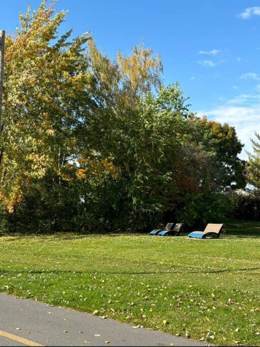 Cozy Spacious Work Friendly Lotus With Garden View High Speed Free Wi Fi And Parking Adjacent To Downtown Montréal Extérieur photo